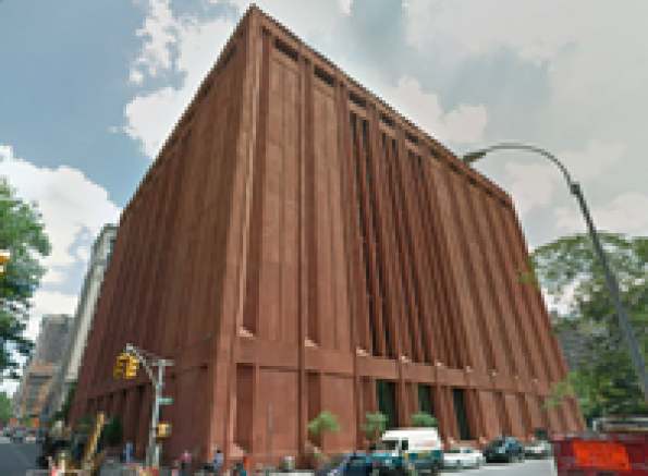 New York University