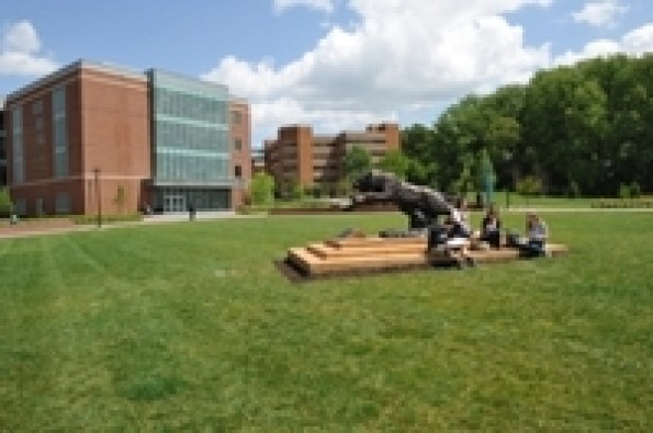 Towson University
