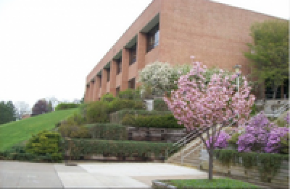 Pennsylvania State University-Penn State Worthington Scranton