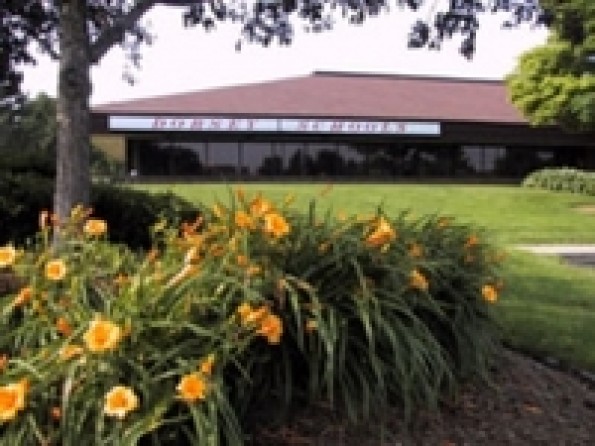 Dorsey Schools